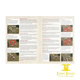 Middle-Earth™ Strategy Battle Game Rules Manual HC - Corn Coast Comics
