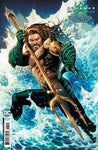 AQUAMAN AND THE LOST KINGDOM SPECIAL #1 (ONE SHOT) CVR B JIM CHEUNG CARD STOCK VAR NM