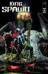 KING SPAWN #29 CVR B FERNANDEZ VAR NM