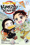 Demon Slayer: Kimetsu Academy, Vol. 1 by