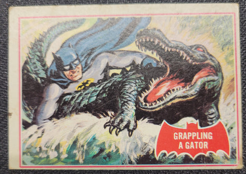 1966 Batman Cards - Grappling A Gator