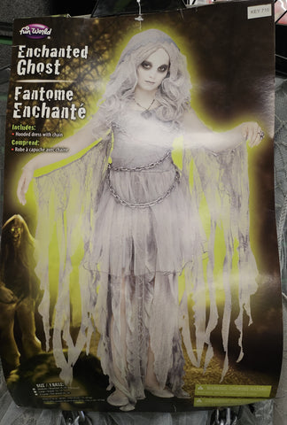 Enchanted Ghost Costume size 8-10