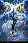 STORM (vol 4) #2 (OF 5) ADAM KUBERT ULT LAST LOOK VAR NM