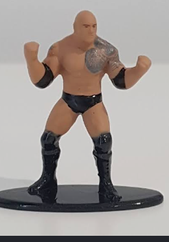 WWE The Rock Diecast Nano Metalfigs Jada toys WWF Dwayne Johnson