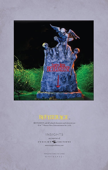 Beetlejuice: Handbook For the Recently Deceased Hardcover Ruled Journal - Damaged