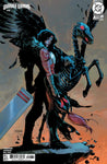 ABSOLUTE WONDER WOMAN (vol 1) #10 CVR C