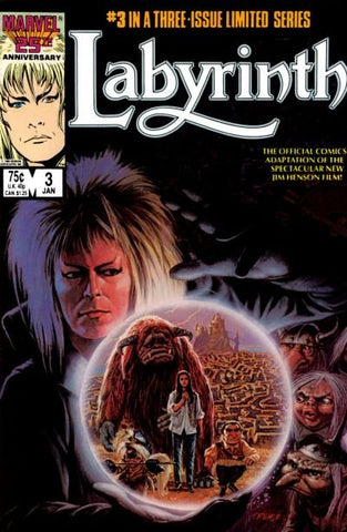 Labyrinth #3 (of 3) FN