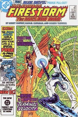 The Fury of Firestorm (vol 1) #24 VF