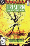 The Fury of Firestorm Annual (vol 1) #5 VF