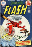The Flash (vol 1) #228