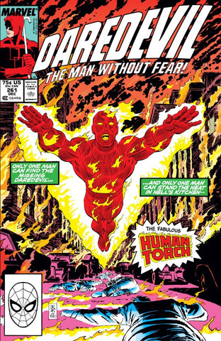 Daredevil (vol 1) #261 FN