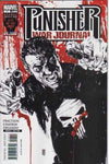 Punisher War Journal (vol 2) #17 NM