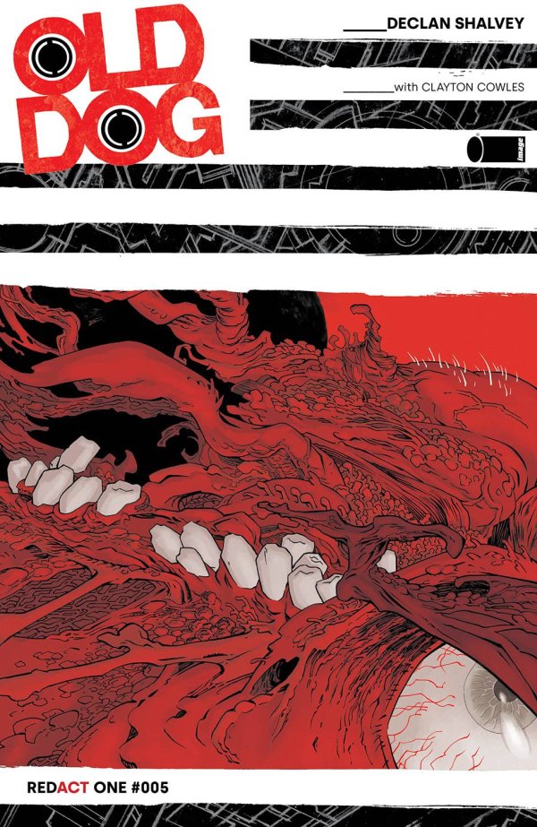 Old Dog (vol 1) #5 NM