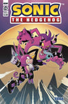 Sonic the Hedgehog IDW Comics (vol 1) #28 NM
