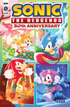 Sonic the Hedgehog IDW Comics (vol 1) 30th Anniversary One-Shot NM