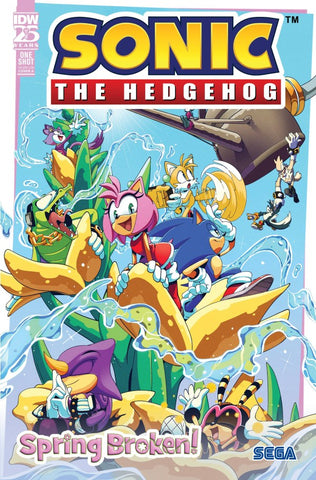 Sonic the Hedgehog IDW Comics (vol 1) Spring Broken! One-Shot NM