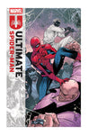 ULTIMATE SPIDER-MAN (vol 3) #19 NM