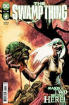 THE SWAMP THING #11 (OF 16) CVR A MIKE PERKINS NM