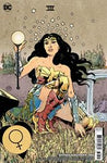 WONDER WOMAN (vol 5) #788 CVR B PAUL POPE CARD STOCK VAR NM