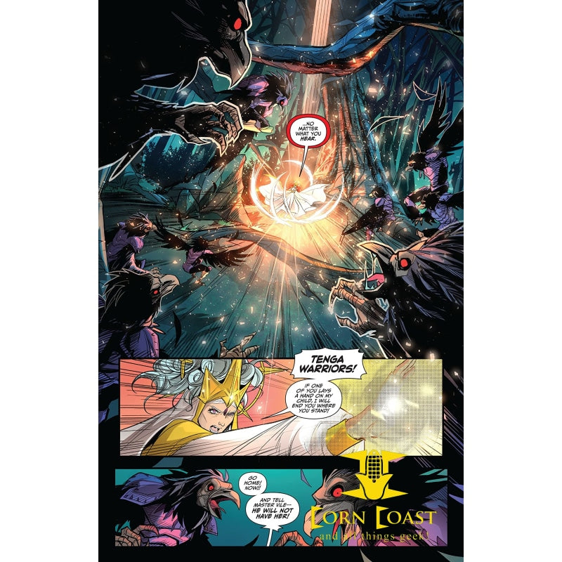Saban's Go Go Power Rangers #19 NM