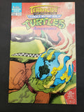 Teenage Mutant Ninja Turtles Adventures #57 NM