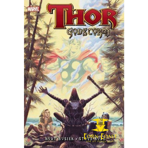 Thor: Godstorm by Busiek, Kurt, Defalco, Tom(March 30, 2011) Hardcover - Corn Coast Comics