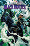 BLACK PANTHER LEGENDS #2 (OF 4) CASSARA STORMBREAKERS VAR NM