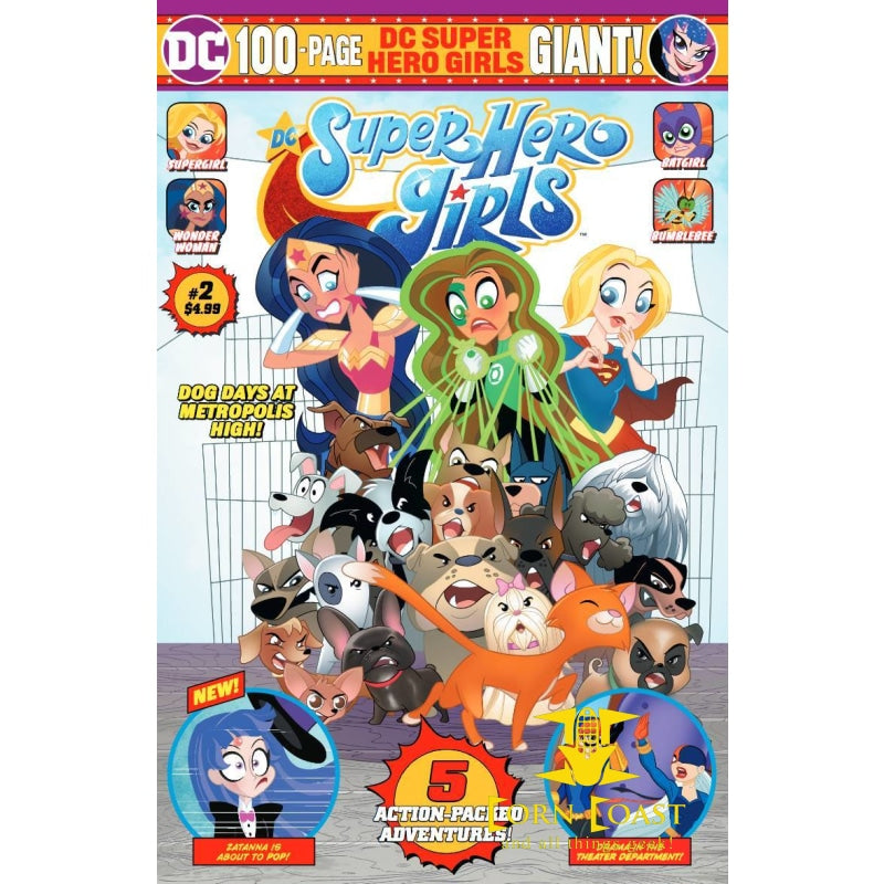 DC SUPER HERO GIRLS GIANT #2 - Corn Coast Comics