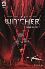 WITCHER WITCHS LAMENT #4 (OF 4) CVR B FINNSTARK NM