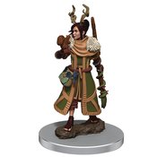 D&D ICONS REALMS FIG FEMALE HUMAN DRUID