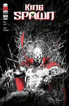 KING SPAWN #10 CVR A FERNANDEZ NM