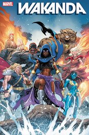 WAKANDA (vol 1) #3 (OF 5) COELLO VAR NM
