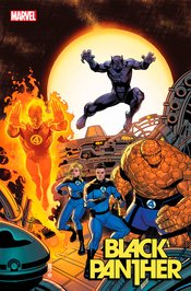 BLACK PANTHER (vol 8) #13 MEDINA CLASSIC HOMAGE VAR NM