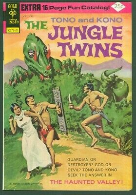 The Jungle Twins #12 FN