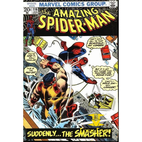 Amazing Spider-Man #116 - Back Issues
