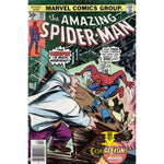 Amazing Spider-Man #163 - Back Issues