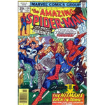 Amazing Spider-Man #174 - Back Issues
