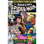 Amazing Spider-Man #178 - Back Issues