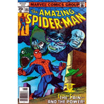 Amazing Spider-Man #181 - Back Issues