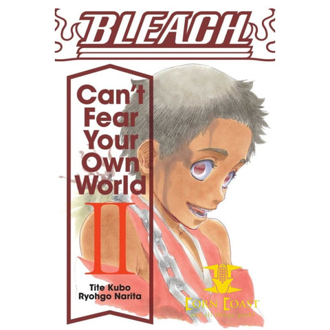Bleach Can’t Fear Your Own World Novel Volume 2 - 