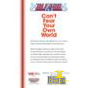Bleach Can’t Fear Your Own World Novel Volume 2 - 