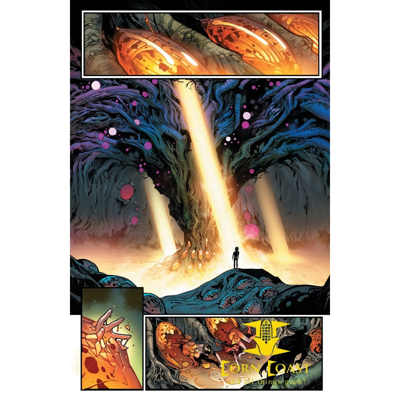 HOUSE OF X #1 (OF 6) 5TH PTG BROOKS VAR