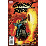 Ghost Rider (2006 4th Series) #15 VF - Back Issues