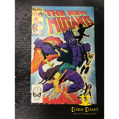 New Mutants (1983 1st Series) #14 NM