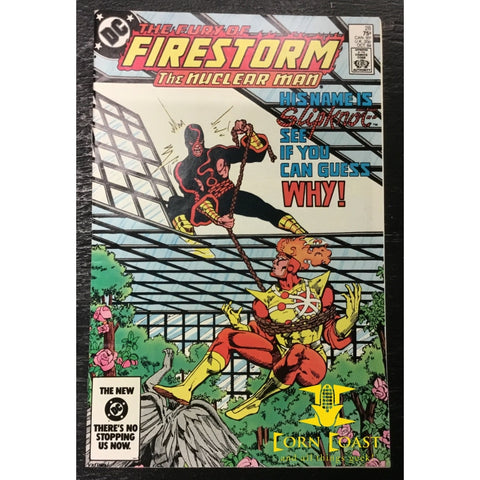 Firestorm (1982 2nd Series) #28 NM
