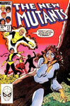 The New Mutants (vol 1) #13 FN