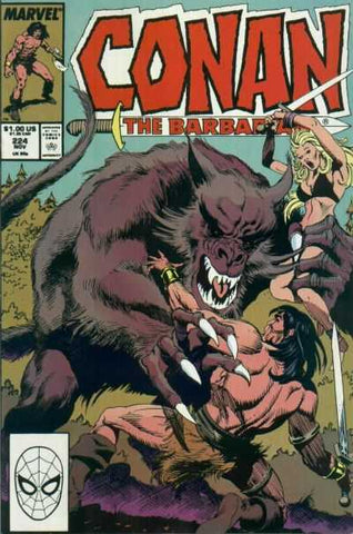 Conan the Barbarian (vol 1) #224 VG/FN