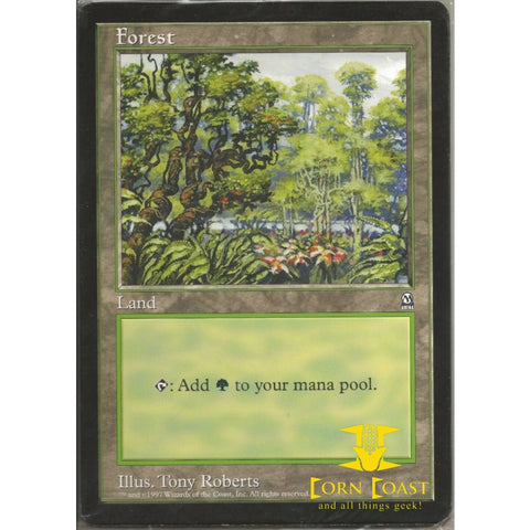 Magic the Gathering Forest Oversized 6x9 Card (LP) - Card 