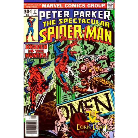 Peter Parker The Spectacular Spider-Man #2 VF - Back Issues