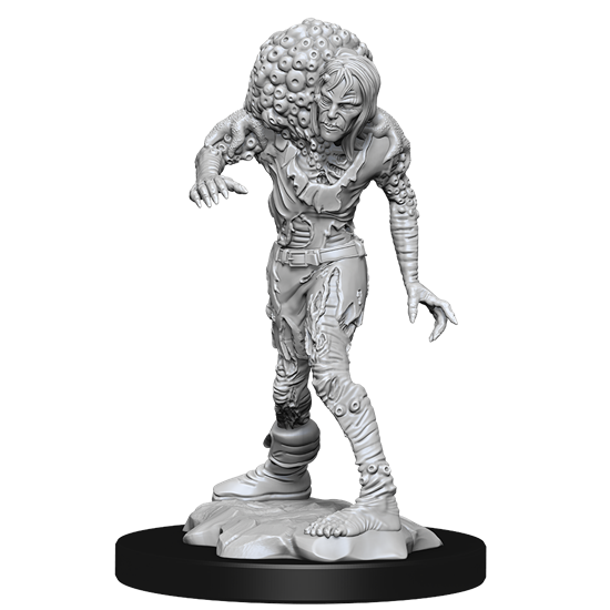 Dungeons & Dragons Nolzur’s Marvelous Miniatures: DROWNED ASSASSIN/ ASETIC